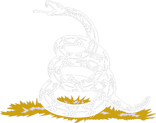 An artistic image of a gold coiled snake with a grayish image of the American flag.