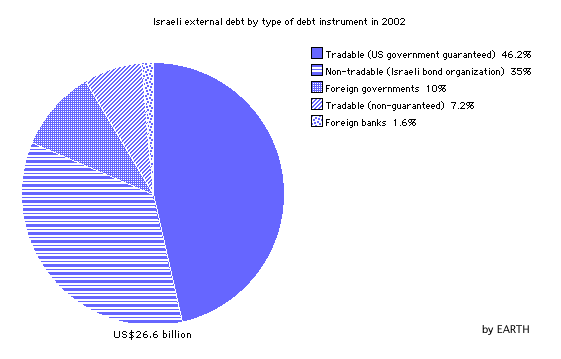 Israeli external debt by type of financial instrument utilised in 2002 (Pie Graph)
