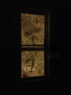 A thumbnail image of a dormintory window at the Bread of Life Mission.  The photo was taken from the inside and depicts a rare snow covered early Seattle morning lit only by the nearby street lamps.