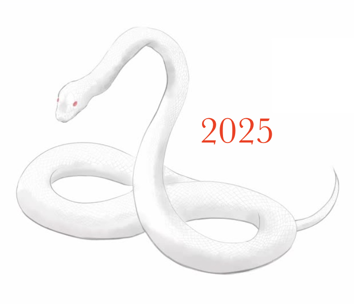 An image of a Coiled White Snake.